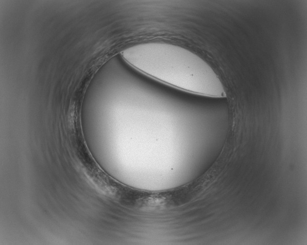 X0000078230647200611030854