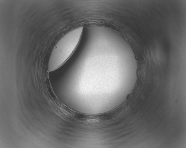 X0000078230653200611030854