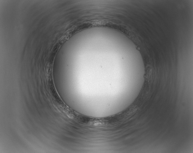 X0000078230655200611030854