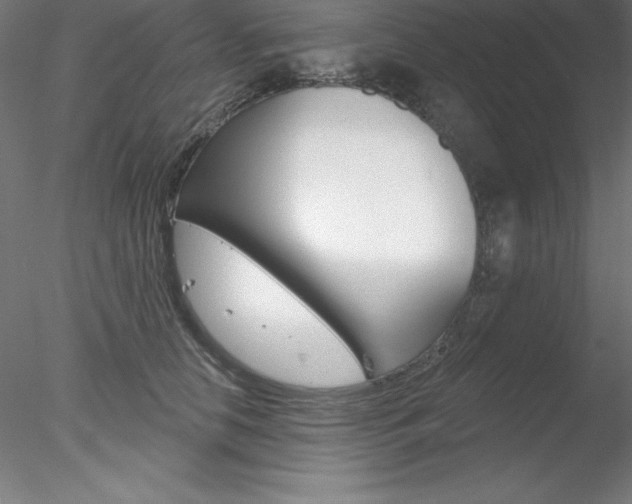 X0000078230658200611030855