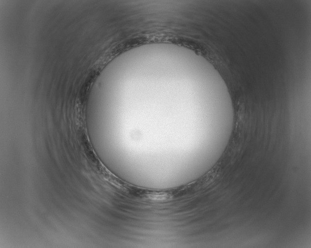 X0000078230659200611030855