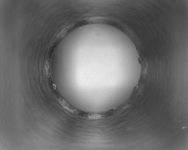 X0000078230669200611030855