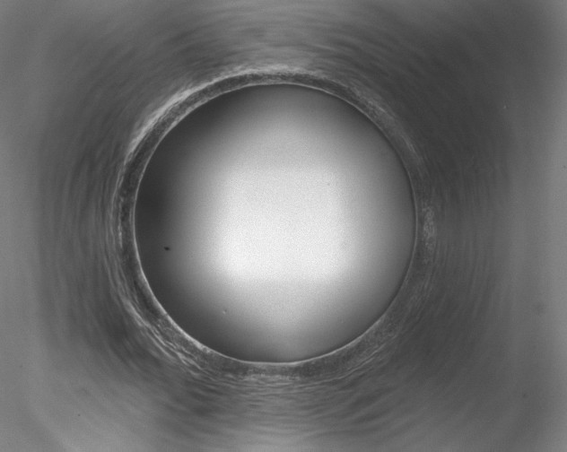 X0000078230676200611030854
