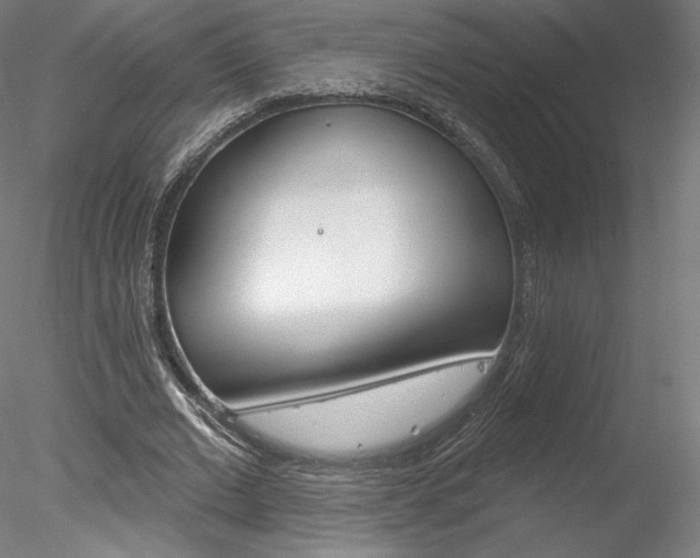 X0000078230677200611030854