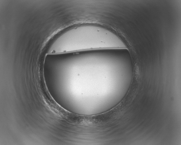 X0000078230684200611030854