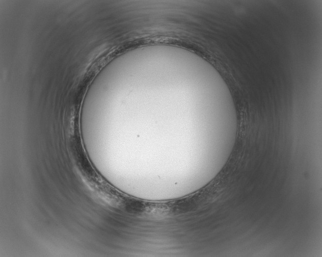 X0000078230694200611030854