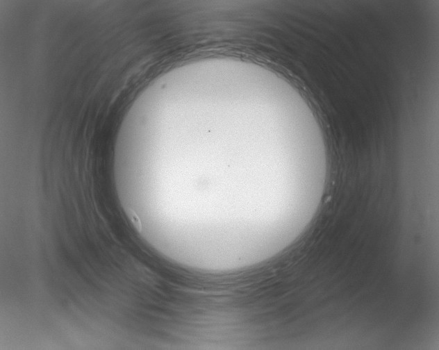 X0000078230701200611030853