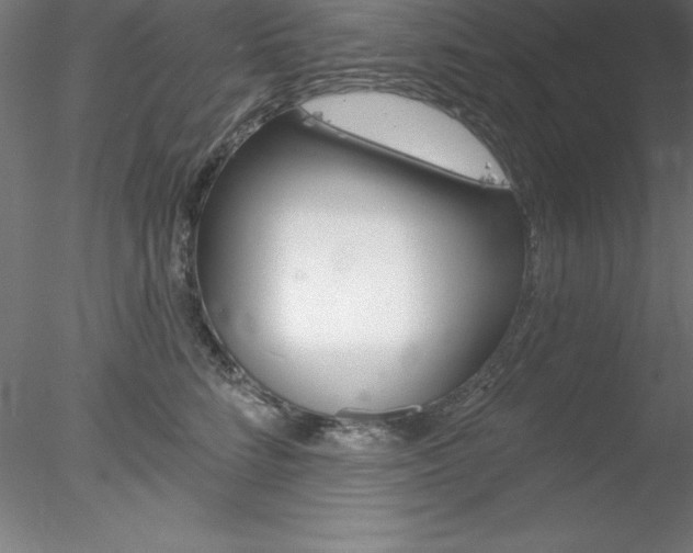 X0000078230712200611030853