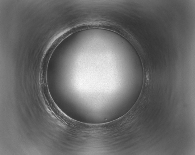 X0000078230724200611030852
