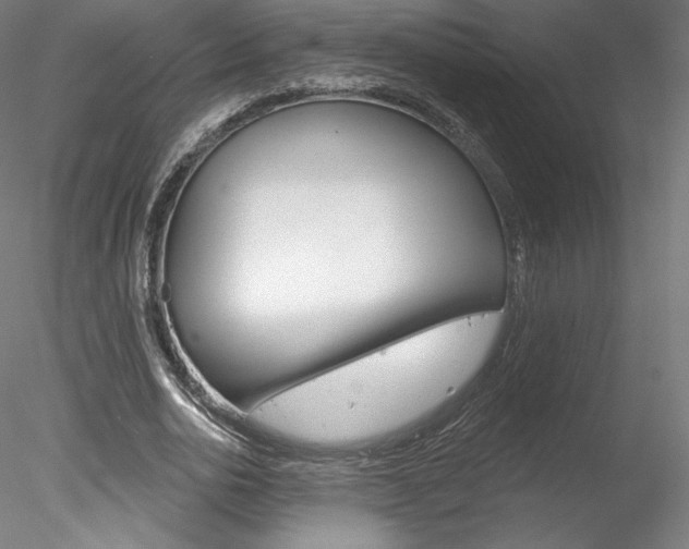 X0000078230726200611030852