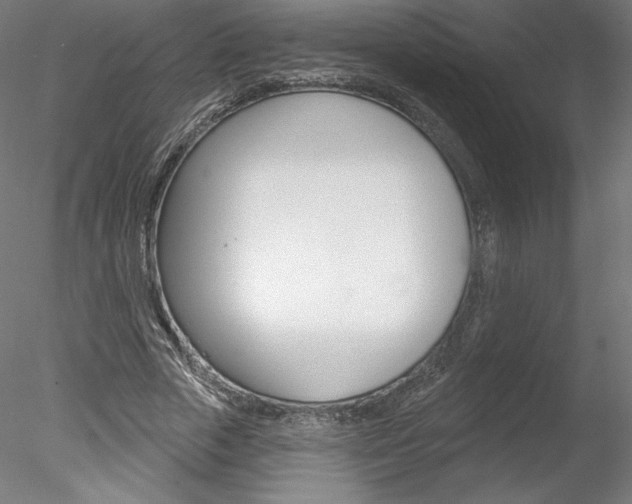X0000078230729200611030852