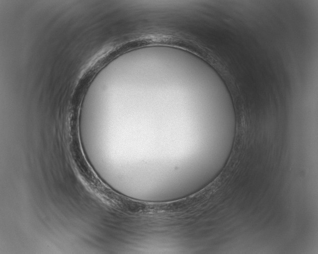 X0000078230730200611030853