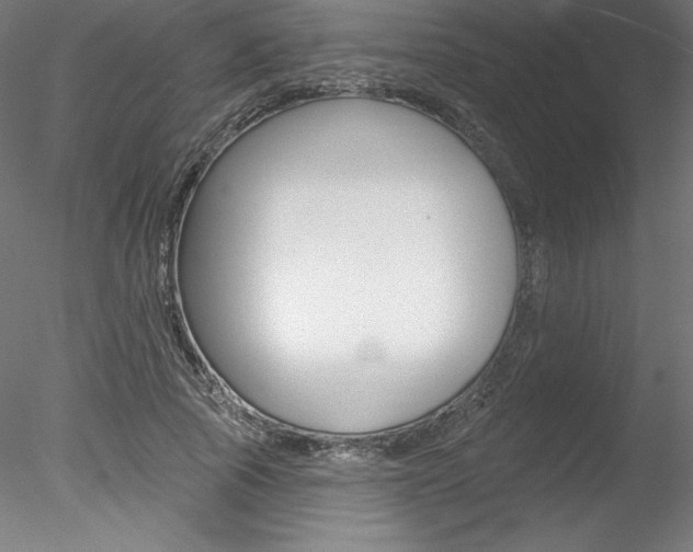 X0000078230737200611030853