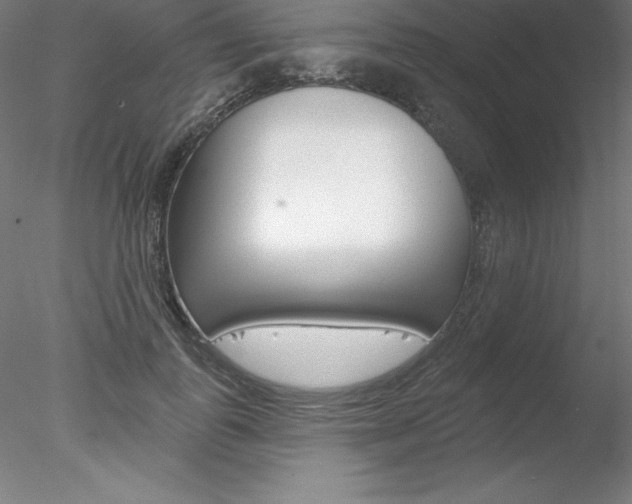X0000078230747200611030853