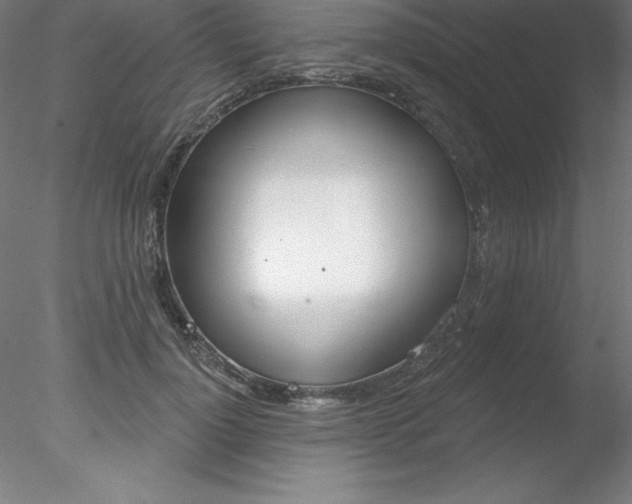 X0000078230748200611030853