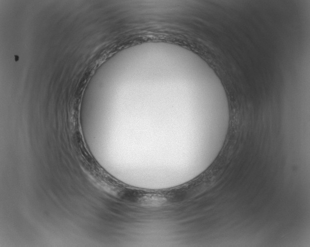 X0000078230749200611030853