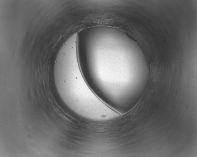 X0000078230752200611030853