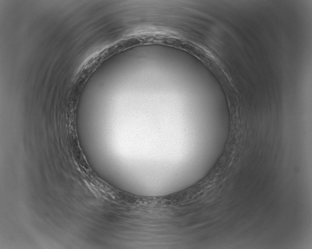 X0000078230775200611030852