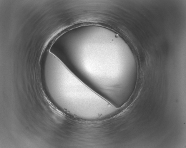 X0000078230779200611030852