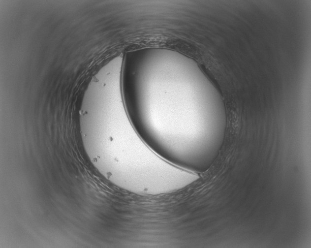 X0000078230818200611030851