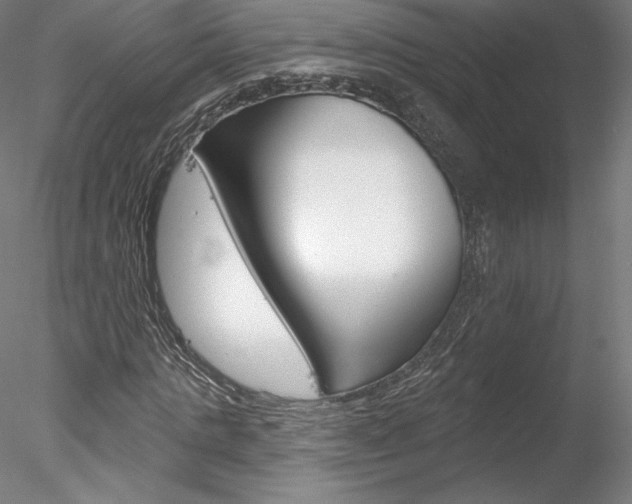 X0000078230821200611030851