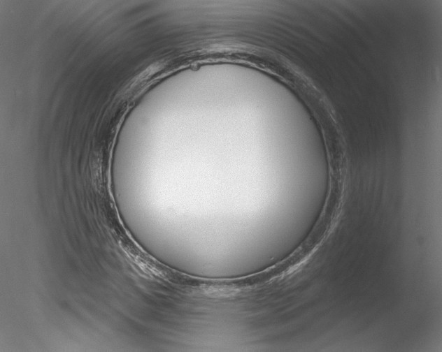 X0000078230825200611030851