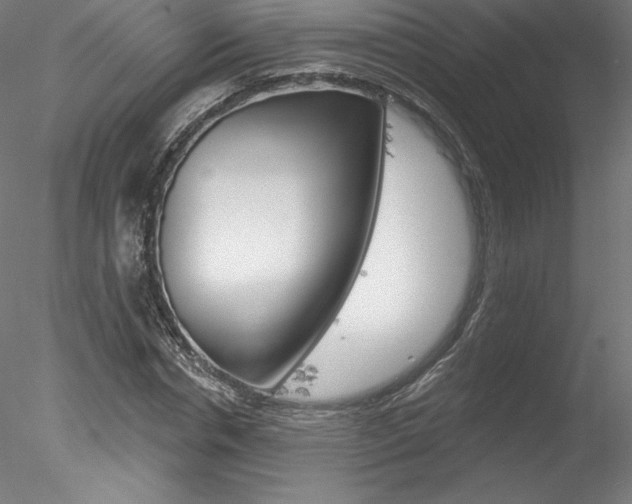 X0000078230826200611030851