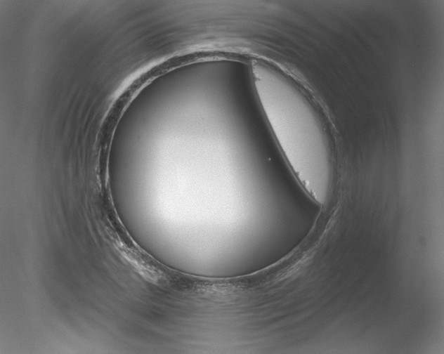 X0000078230830200611030851