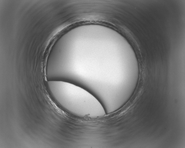 X0000078230831200611030851