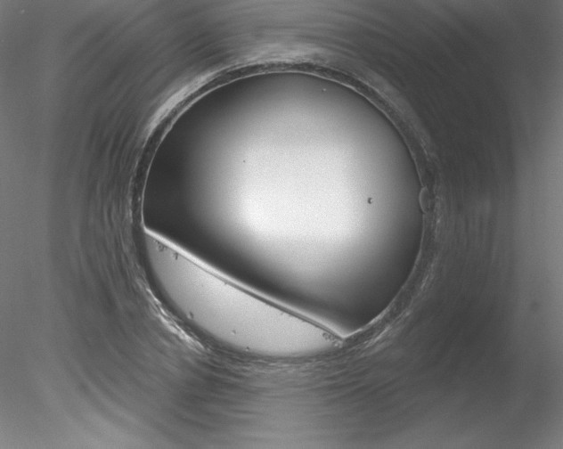 X0000078230834200611030851