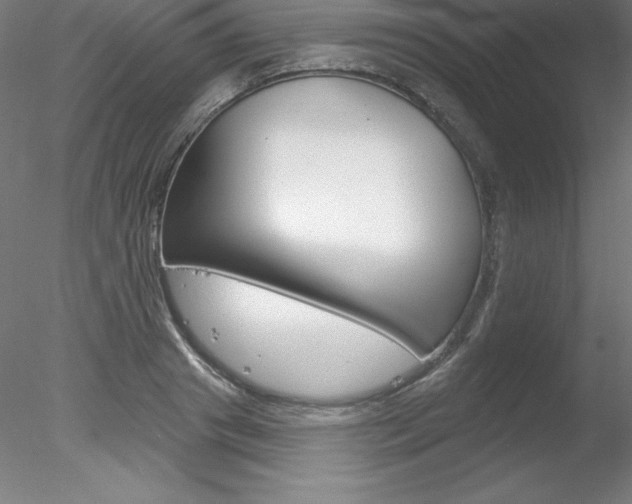 X0000078230841200611030851