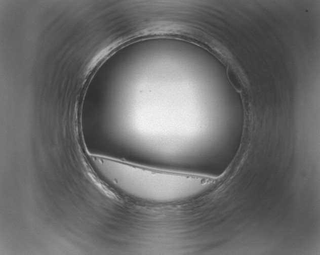 X0000078230842200611030851