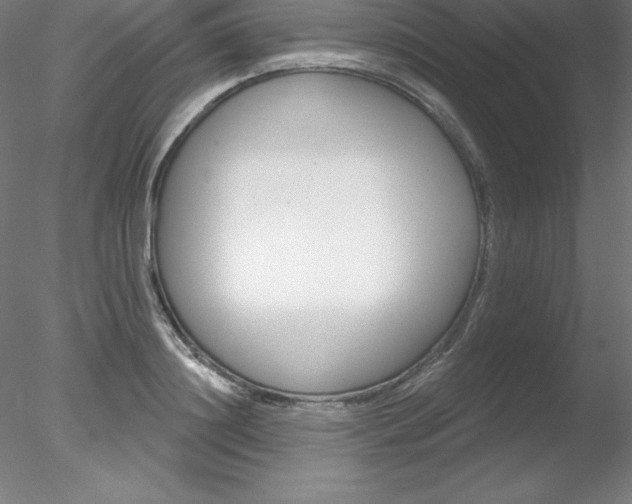 X0000078230844200611030851