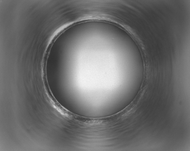 X0000078230846200611030851