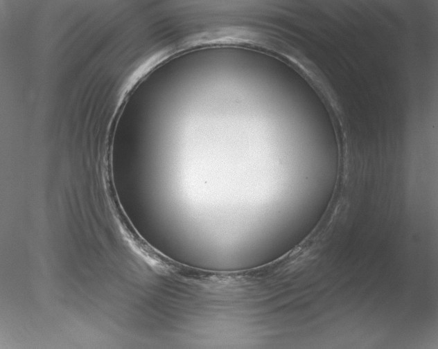 X0000078230850200611030851