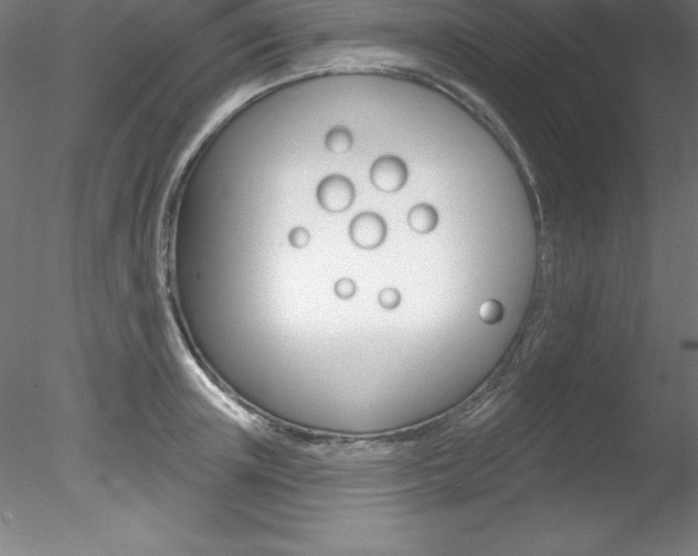 X0000078230851200611030851