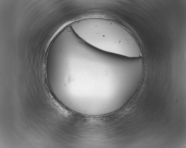 X0000078230852200611030851