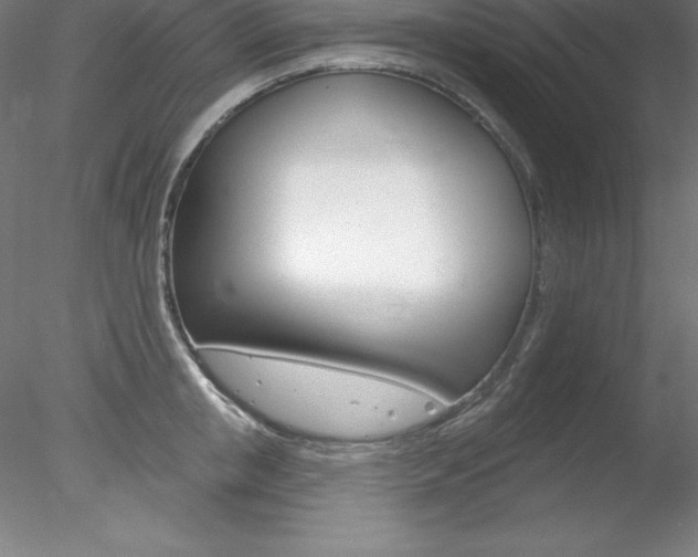 X0000078230853200611030851