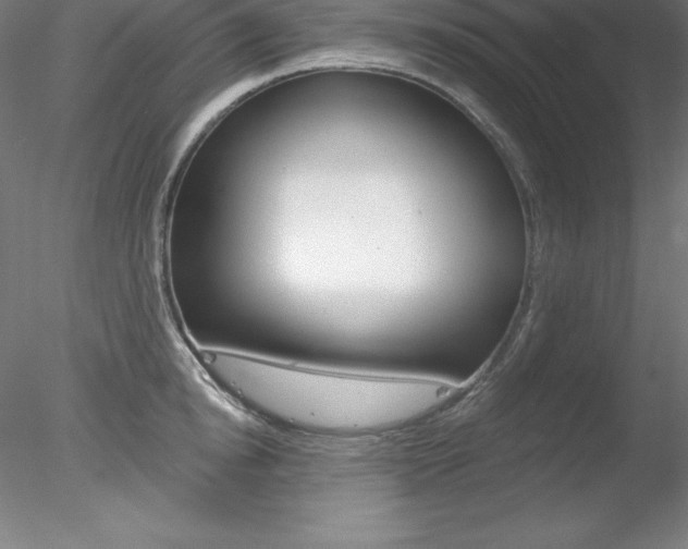 X0000078230854200611030851