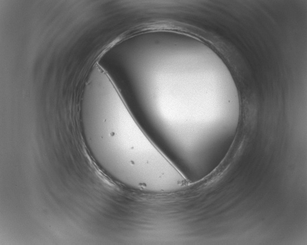 X0000078230857200611030851
