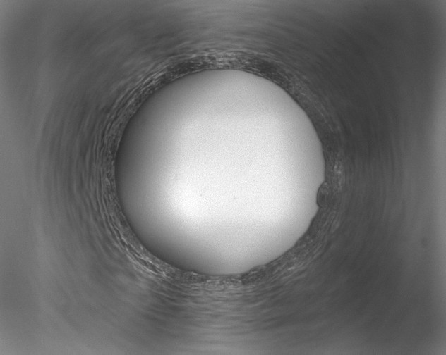 X0000078230865200611030851