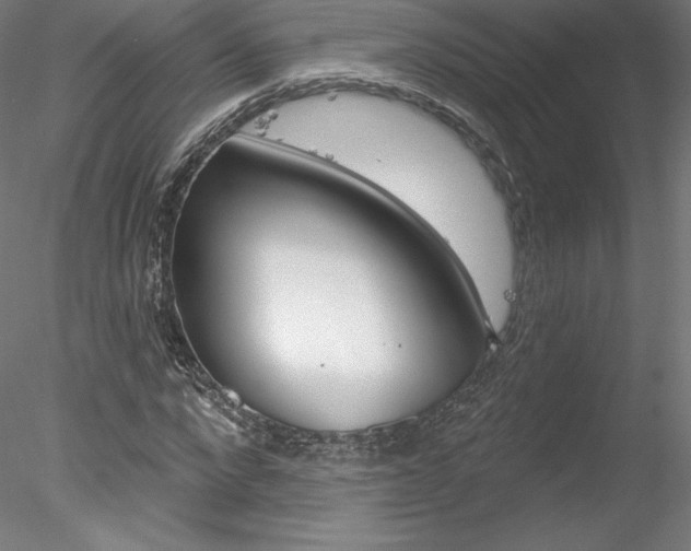 X0000078230872200611030851