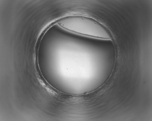 X0000078230888200611030850