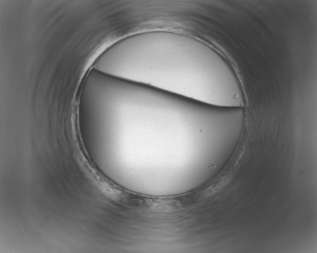 X0000078230899200611030850