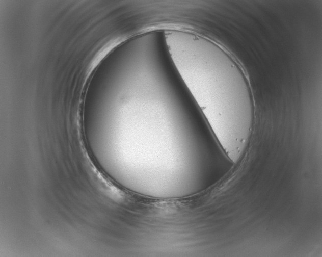 X0000078230906200611030850