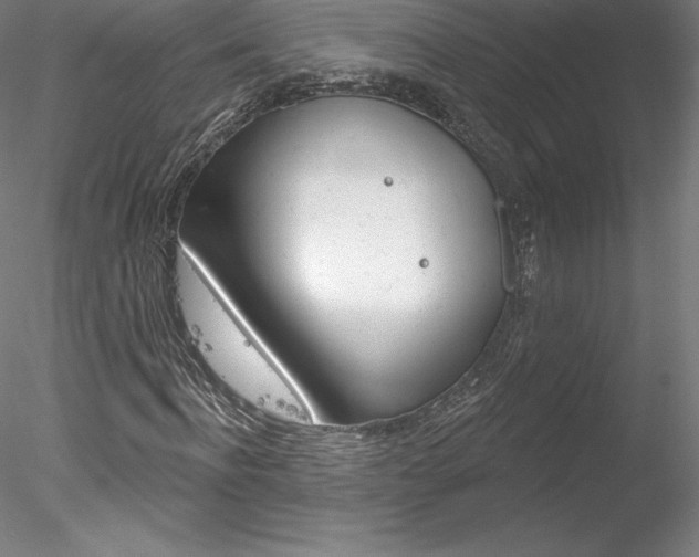 X0000078230916200611030849