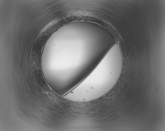 X0000078230919200611030849
