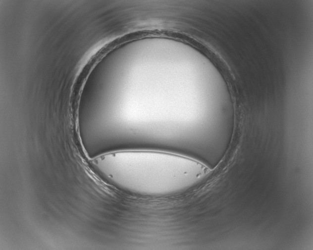 X0000078230927200611030849