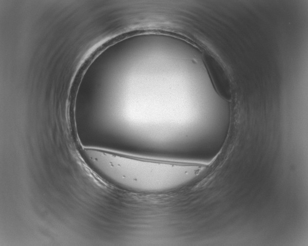 X0000078230932200611030849