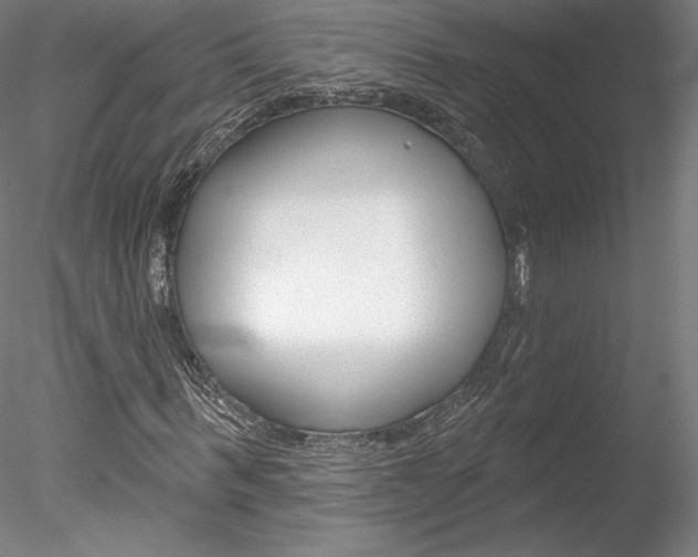 X0000078230963200611030849